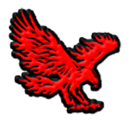logo-Lake-Station-Eagles